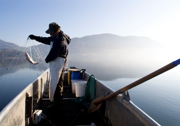     Pescador en el lago Mondsee 